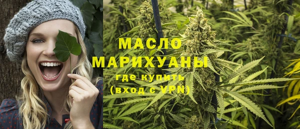 хмурый Каменногорск